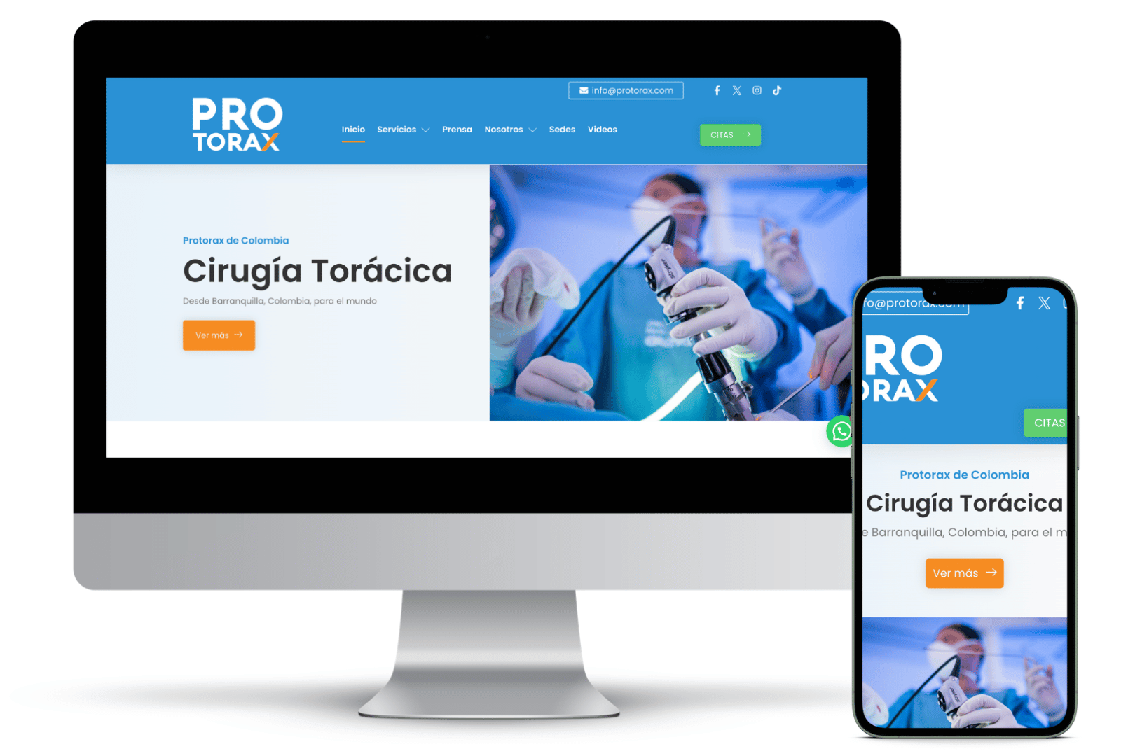 protorax